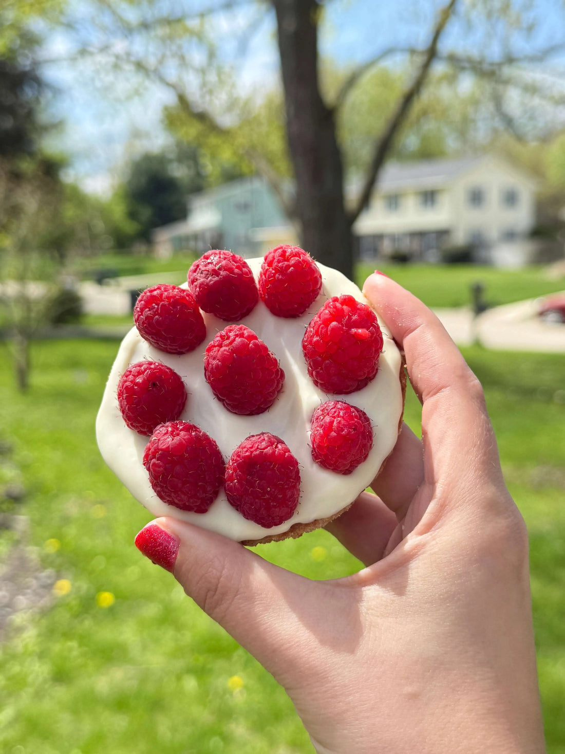 3 New Ways to Enjoy Stroopwafels in Spring (With Just 3 Ingredients Each!)