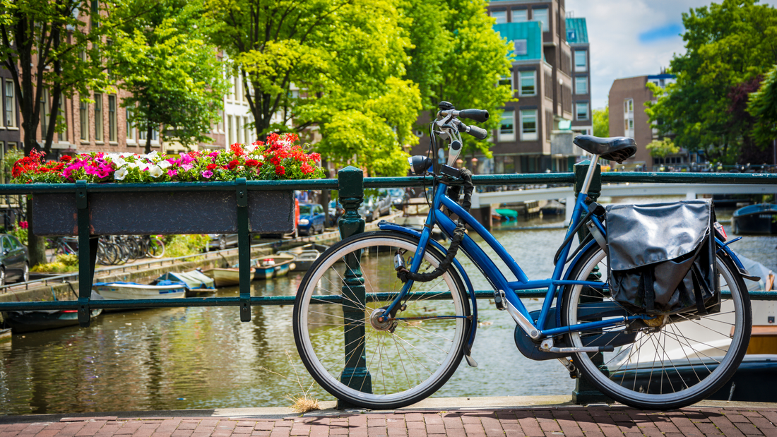 Why the Netherlands Runs on Bicycles (Rain, Wind & Snow)
